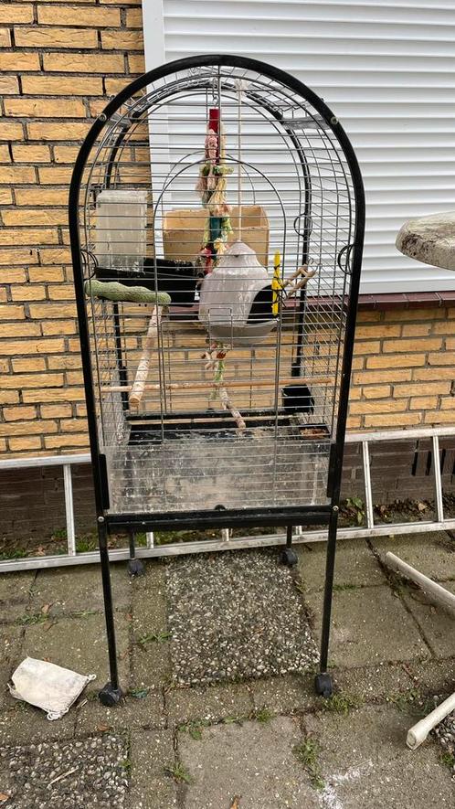 Vogelkooi met toebehoren op wielen, Dieren en Toebehoren, Vogels | Hokken en Kooien, Gebruikt, Vogelkooi, Metaal, Ophalen
