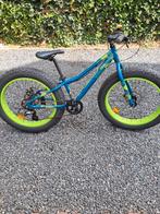 24 inch Mountainbike - 7 versnellingen, schijfremmen, Fietsen en Brommers, Gebruikt, Staal, Onbekend, 20 tot 24 inch