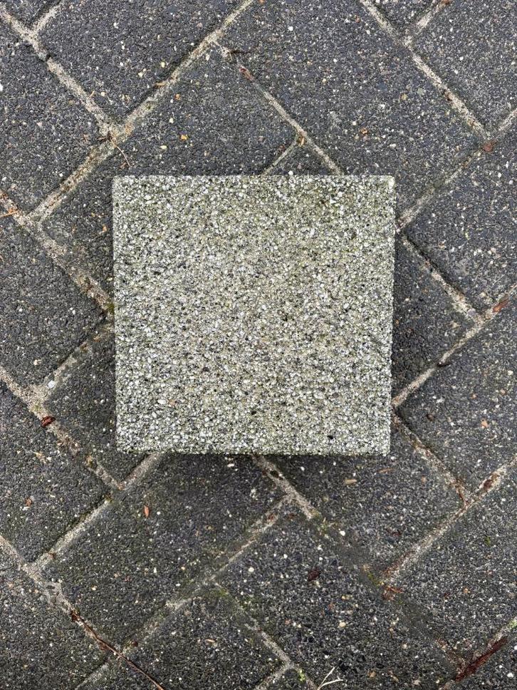 GeoColor Edelgrijs 20x20x8 125m2, Tuin en Terras, Tegels en Klinkers, Nieuw, Terrastegels, Beton, 10 m² of meer, Gecoat, Ophalen