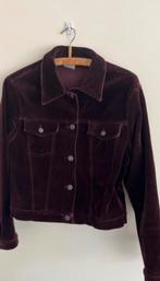 Jacket suede, Kleding | Dames, Maat 38/40 (M), Paars, Ophalen of Verzenden, Jasje