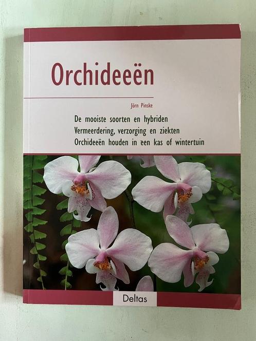 Jörn Pinske: Orchideeën, Boeken, Wonen en Tuinieren, Gelezen, Kamerplanten, Ophalen of Verzenden