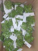 Restpartij, Diversen, Ophalen of Verzenden, Nieuw