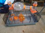 Hamster verblijf., Dieren en Toebehoren, Minder dan 75 cm, Zo goed als nieuw, Ophalen, Minder dan 60 cm