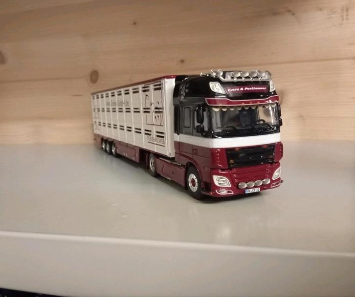 Daf XF Evers & Posthouwer WSI, Hobby en Vrije tijd, Modelauto's | 1:50, Nieuw, Bus of Vrachtwagen, Wsi, Ophalen of Verzenden