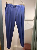 Drykorn pantalon lila paars W33, Ophalen of Verzenden, Zo goed als nieuw, Paars