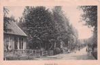 Zuidwolde - Mooi Dorpsgezicht (gel. 1917), Ophalen of Verzenden, Voor 1920, Gelopen, Drenthe