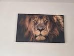 Schilderij leeuw 70x118, Ophalen, Zo goed als nieuw, Schilderij, 50 tot 75 cm
