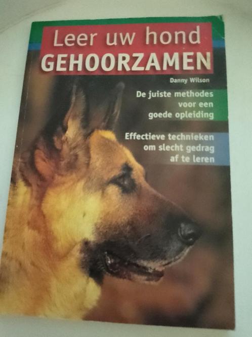 D. Wilson - Leer uw hond gehoorzamen, Boeken, Dieren en Huisdieren, Zo goed als nieuw, Paarden of Pony's, Ophalen of Verzenden