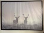 Wand foto in lijst, Huis en Inrichting, Woonaccessoires | Schilderijen, Tekeningen en Foto's, Ophalen, Zo goed als nieuw, Schilderij