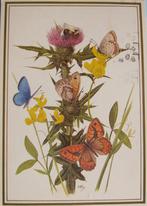 voor het kind - vlinders - aardhommel - 1979, Verzenden, 1960 tot 1980, Gelopen, Natuur