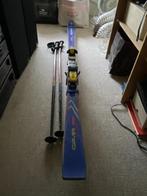 Carve Skis, Overige merken, 160 tot 180 cm, Gebruikt, Ophalen of Verzenden