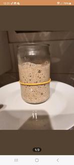 Bio rogge zuurdesemstarter, Diversen, Levensmiddelen, Ophalen