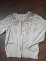 Super mooi vestje 110/116, Ophalen of Verzenden, Zo goed als nieuw, Meisje, Trui of Vest