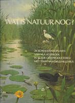 Wat is natuur nog? 24 schoolwandplaten M.A. Koekkoek, Ophalen of Verzenden, Gelezen