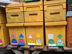 13x Dadant US 6-ramers, Dieren en Toebehoren, Bijen