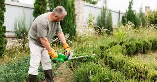 TUINMAN GEZOCHT?? beschikbaar voor biedingen