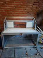 Spoetnik, Meerdere dieren, Postduif