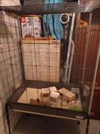 Grote  vogels  kooien ver rij baar en kleine  kooi, Dieren en Toebehoren, Ophalen of Verzenden, Zo goed als nieuw, Hout, Vogelkooi