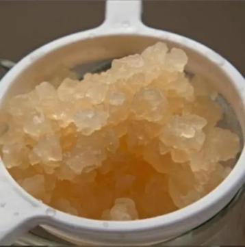 Verse waterkefir, dagelijkse geoogst beschikbaar voor biedingen