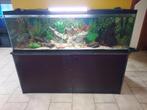 Volledig uitgeruste aquarium SUPERFISH van 300 L + onderstel, Ophalen, Gebruikt, Leeg aquarium