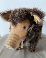 Steiff Dalle, wild zwijn, 2670/20, Antiek en Kunst, Antiek | Speelgoed, Ophalen of Verzenden