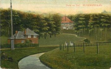 (300-058-013) Bloemendaal Duin en Dal beschikbaar voor biedingen