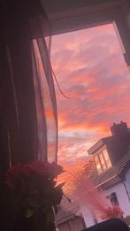 Dieren oppas!!, Februari, Vrouwelijk