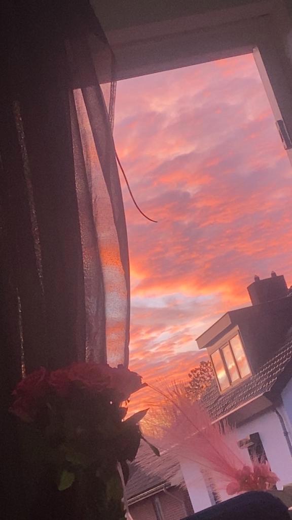 Dieren oppas!!, Dieren en Toebehoren, Overige Dieren, Vrouwelijk, Februari