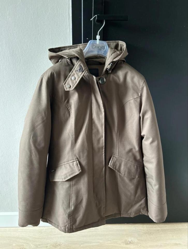 Airforce Winterjas Dames Maat M, Kleding | Dames, Jassen | Zomer, Zo goed als nieuw, Maat 38/40 (M), Bruin, Ophalen of Verzenden