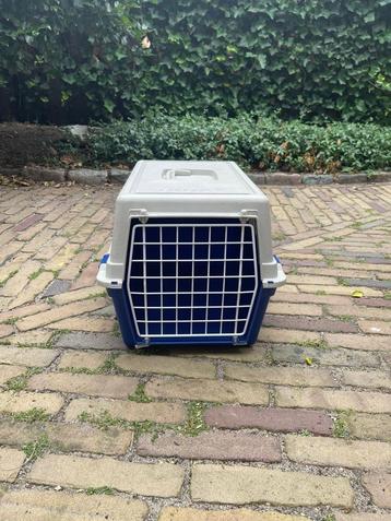 Kattenmand beschikbaar voor biedingen