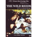 The Wild Reeds van André Téchiné - Niet Ned. ondertiteld, Alle leeftijden, Ophalen of Verzenden, Zo goed als nieuw, Drama