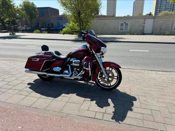 Harlie Street Light beschikbaar voor biedingen