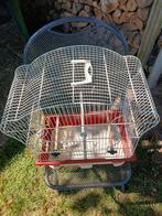 Tk Mooie  complete vogelkooi 12.50euro, Dieren en Toebehoren, Vogels | Kanaries, Mannelijk, Zangkanarie