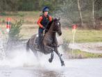 Werkwillende eventing merrie te koop!, Dieren en Toebehoren, Paarden, Merrie, 165 tot 170 cm, Springpaard, 7 tot 10 jaar