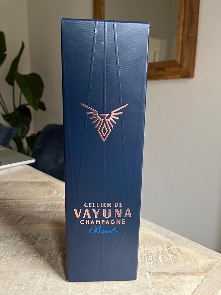 Cellier de Vayuna Champagne (Martin Garrix), Verzamelen, Wijnen, Nieuw, Ophalen of Verzenden