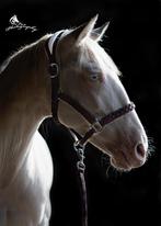 Nieuw! X-full leren glitter halters 3 kleuren, Ophalen of Verzenden, Nieuw, Overige soorten