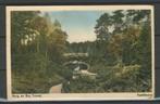 Apeldoorn 1956 Berg-bos Foto Ansichtkaart m-25a jdu, Ophalen of Verzenden, 1940 tot 1960, Gelopen, Gelderland