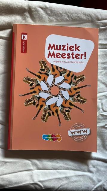 Rinze van der Lei - Muziek Meester! beschikbaar voor biedingen