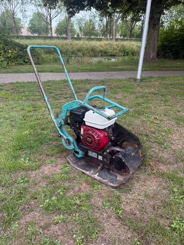 Ammann APF 20/50 trilplaat beschikbaar voor biedingen