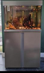 Aquarium met externe pomp en UV incl toebehoren, Ophalen, Zo goed als nieuw, Gevuld zoetwateraquarium