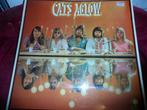 Lp The Cats - Cats Aglow, Ophalen of Verzenden, 1960 tot 1980, Gebruikt, 12 inch