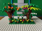 Lego tuin bloemen bomen rat en kikker, Kinderen en Baby's, Speelgoed | Duplo en Lego, Ophalen of Verzenden, Zo goed als nieuw