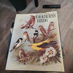 Thorburn's Birds - Geïllustreerde Vogelgids, Ophalen of Verzenden, Gelezen, Vogels, Thorburn