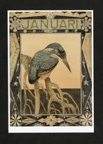 IJsvogel Alcedo Atthis Januari 1904, Theo van Hoytema., Ophalen of Verzenden, 1980 tot heden, Ongelopen, Vogel