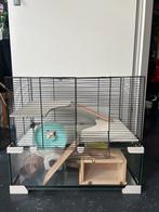 luxe hamster kooi, Kooi, 60 tot 90 cm, Ophalen of Verzenden, Zo goed als nieuw