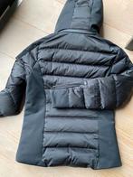 Goldbergh  jas zwart, Ophalen of Verzenden, Zo goed als nieuw, Zwart