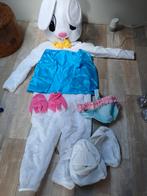 Paashaas / Konijn Mascotte Pak Huren, Ophalen of Verzenden