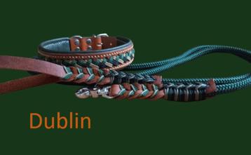 Nieuw - handgemaakt - tuigleer - paracord - halsband + lijn beschikbaar voor biedingen