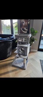 Krabpaal, klimtoren katten, Ophalen