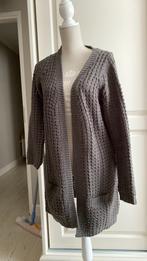 Vest Grijs Maat 40 Merk 9TH AVENEU NIEUW, Maat 38/40 (M), Nieuw, Ophalen of Verzenden, Grijs